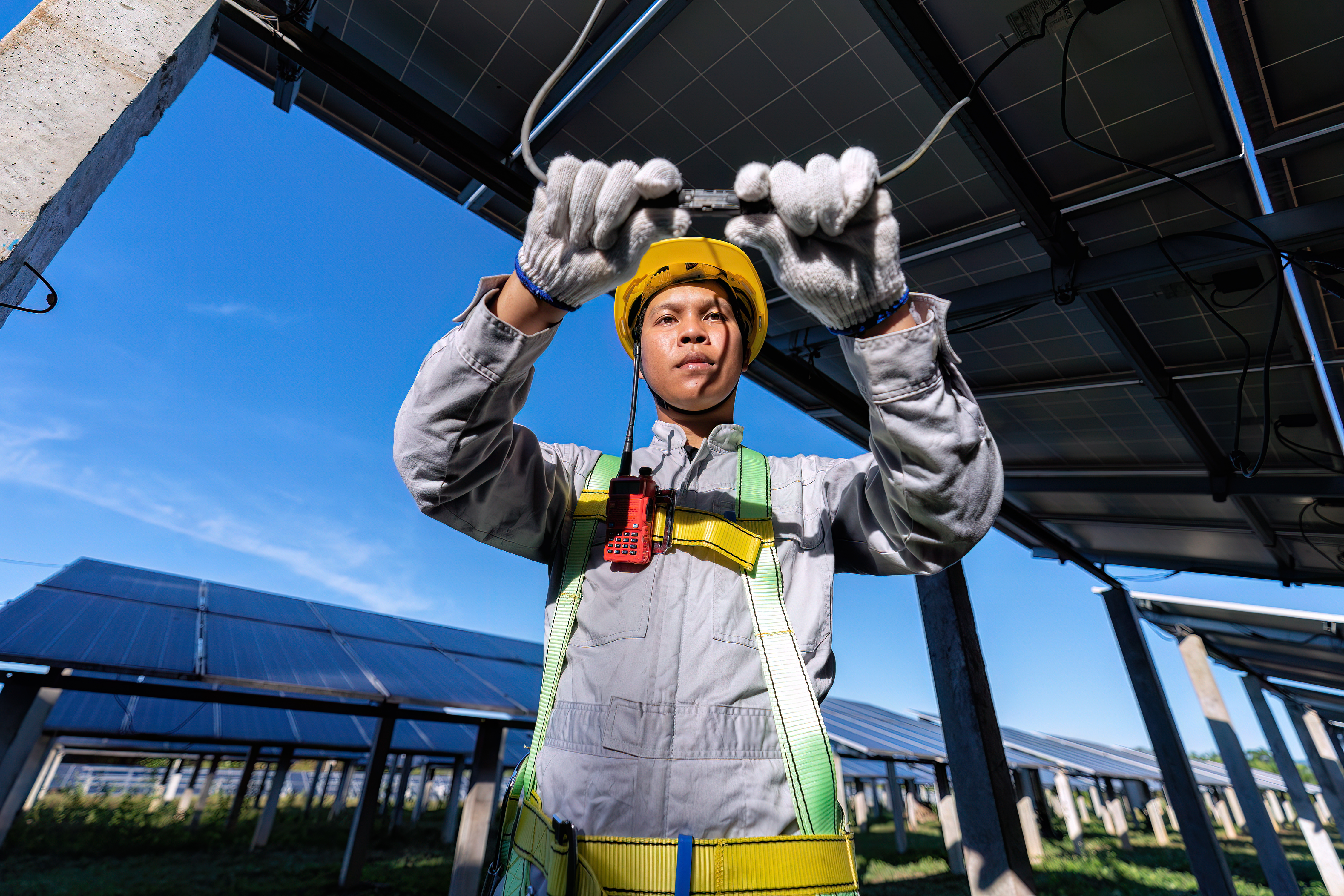 Solar farm on greenery tree in the village provide clean energy eco friendly child happy play kite